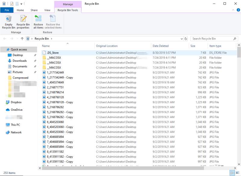 Restore Deleted Files in Recycle Bin