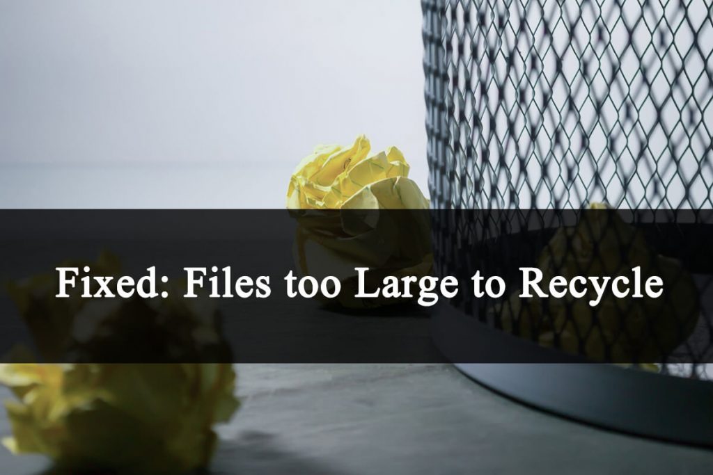 Files too large to Recycle