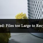 How to Recover Deleted Files too large for Recycle Bin? Files too large to Recycle