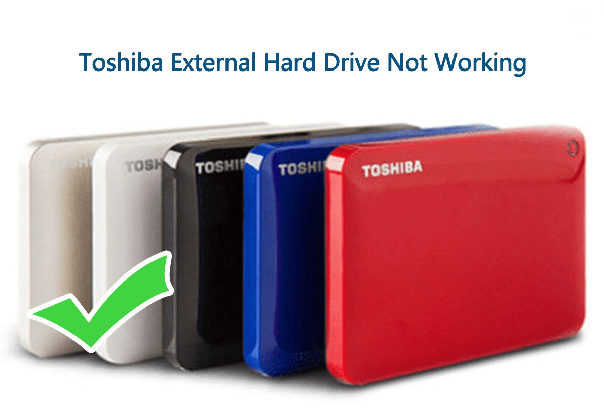 Toshiba External Hard Drive Not Working