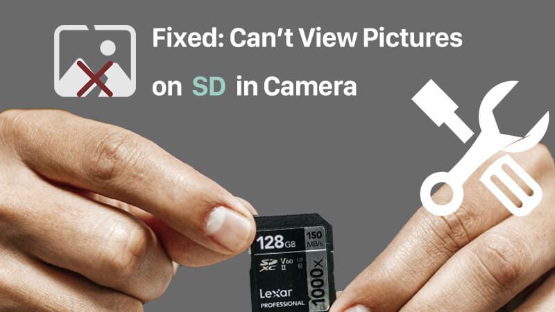Can't View Pictures on SD Card in Camera