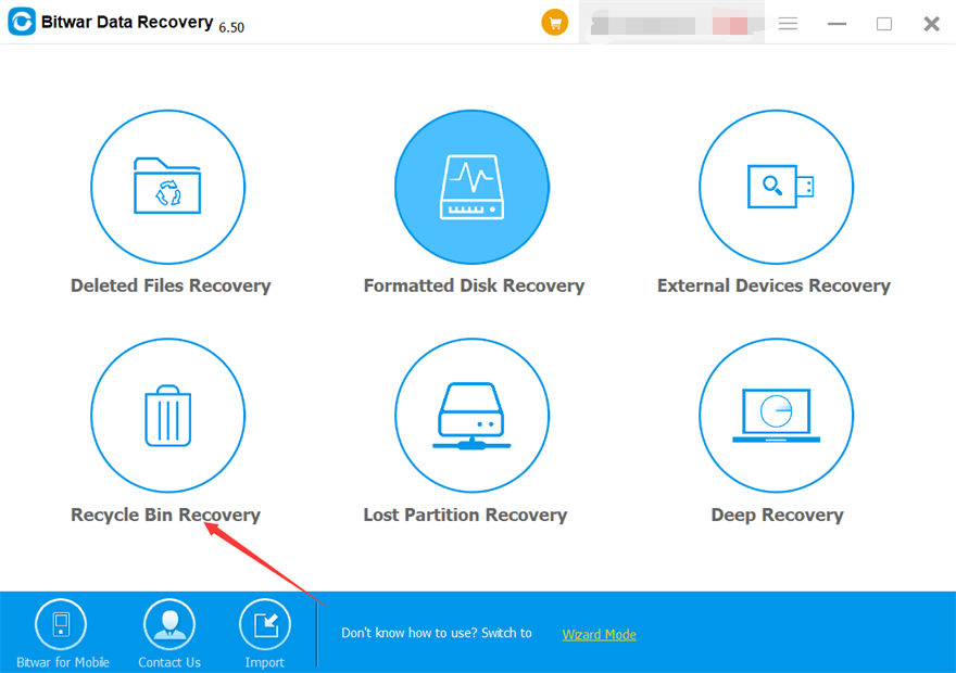 Recycle Bin Recovery